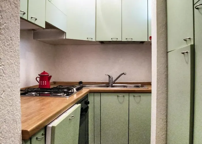 La Maison Des Guides - Trilocale A 500 Mt Dalle Piste Di Dolonne Апартаменты Курмайор