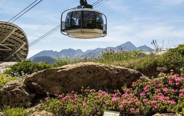 La Maison Des Guides - Trilocale A 500 Mt Dalle Piste Di Dolonne * Courmayeur